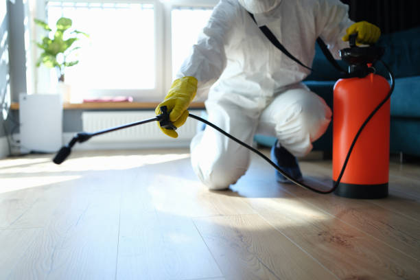 Best Residential Pest Control  in High Bridge, NJ