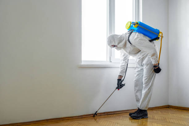 Best Commercial Pest Control Services  in High Bridge, NJ